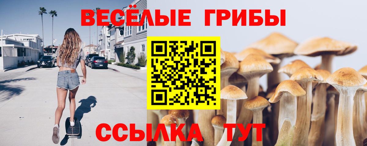 Галлюциногенные грибы прущие грибы  купить   Гагарин  Вход с VPN 